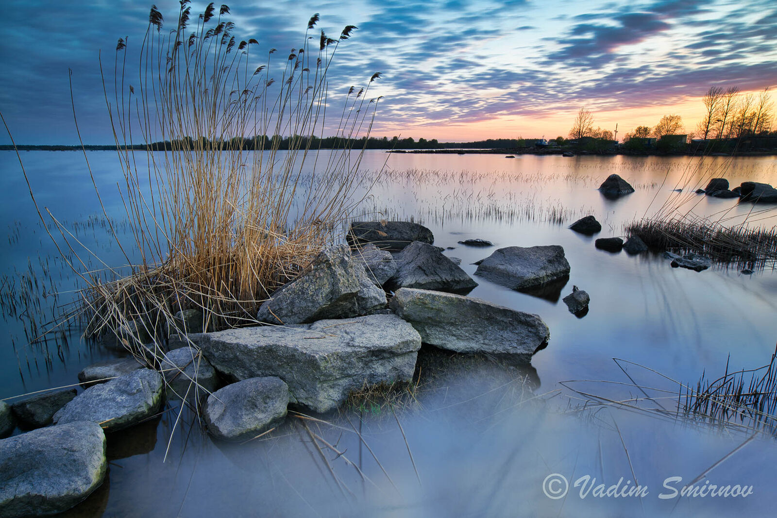 Photographer. St.Petersburg. Macro & Landscapes. SAIMAA CANAL. Untitled