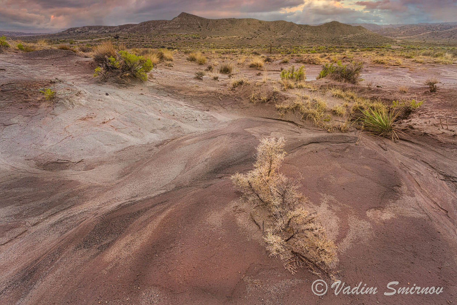 Photographer. St.Petersburg. Macro & Landscapes. Hwy 89. Untitled