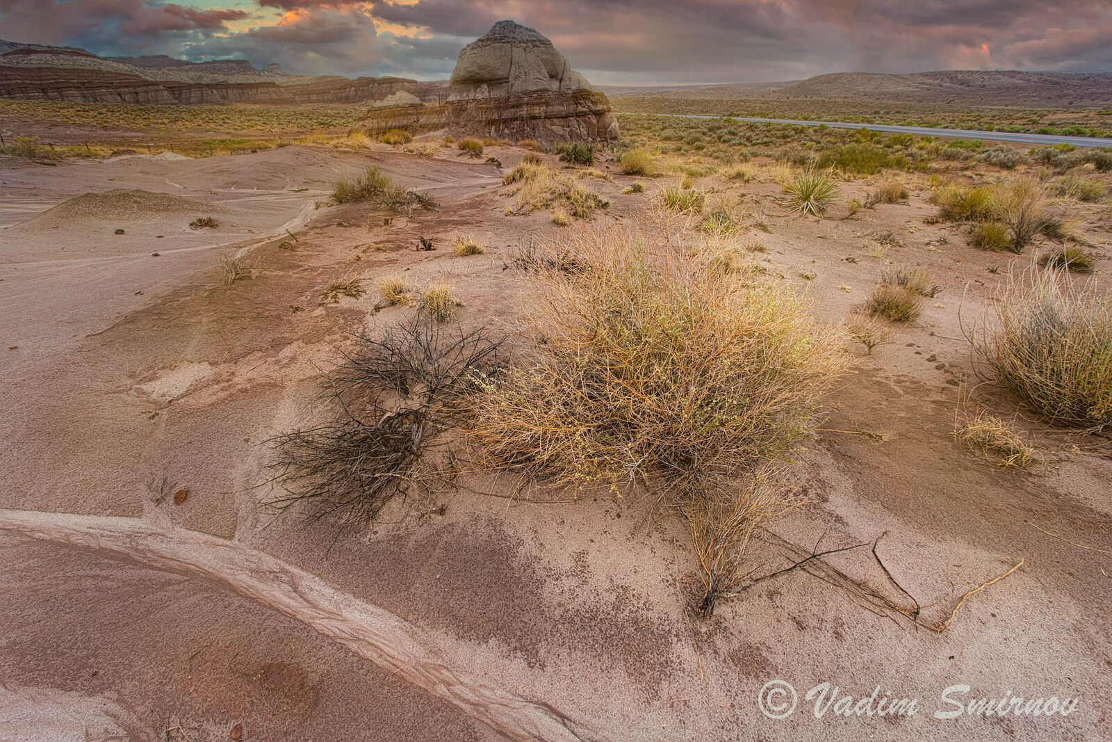 Photographer. St.Petersburg. Macro & Landscapes. Hwy 89. Untitled