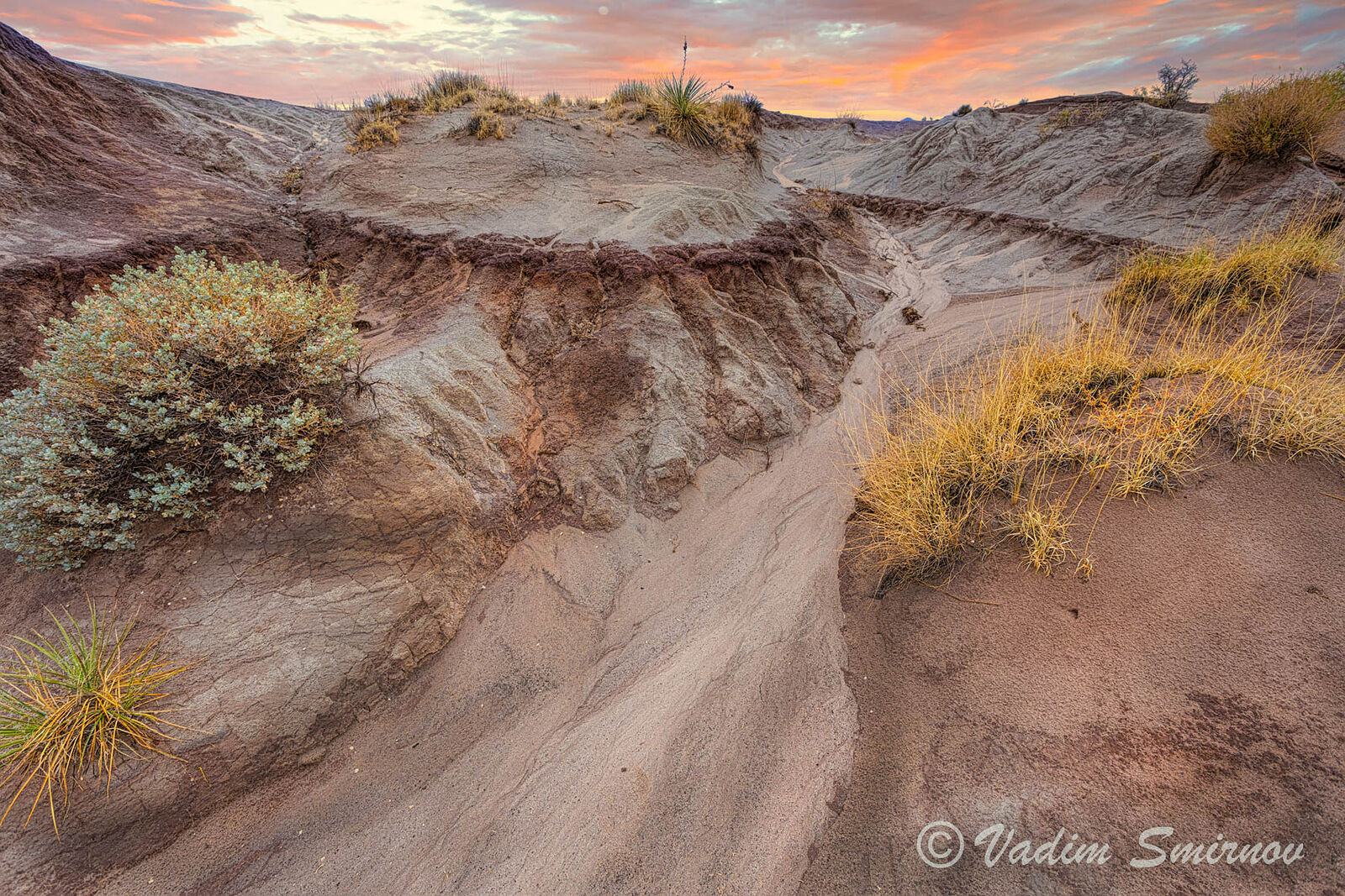 Photographer. St.Petersburg. Macro & Landscapes. Hwy 89. Untitled