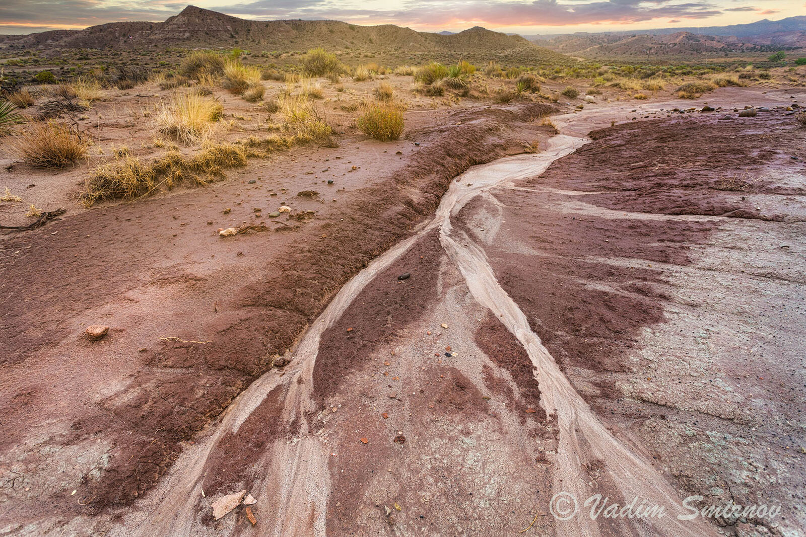 Photographer. St.Petersburg. Macro & Landscapes. Hwy 89. Untitled