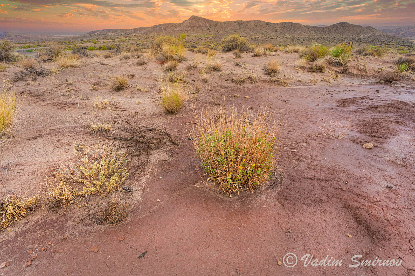 Photographer. St.Petersburg. Macro & Landscapes. Hwy 89. Untitled