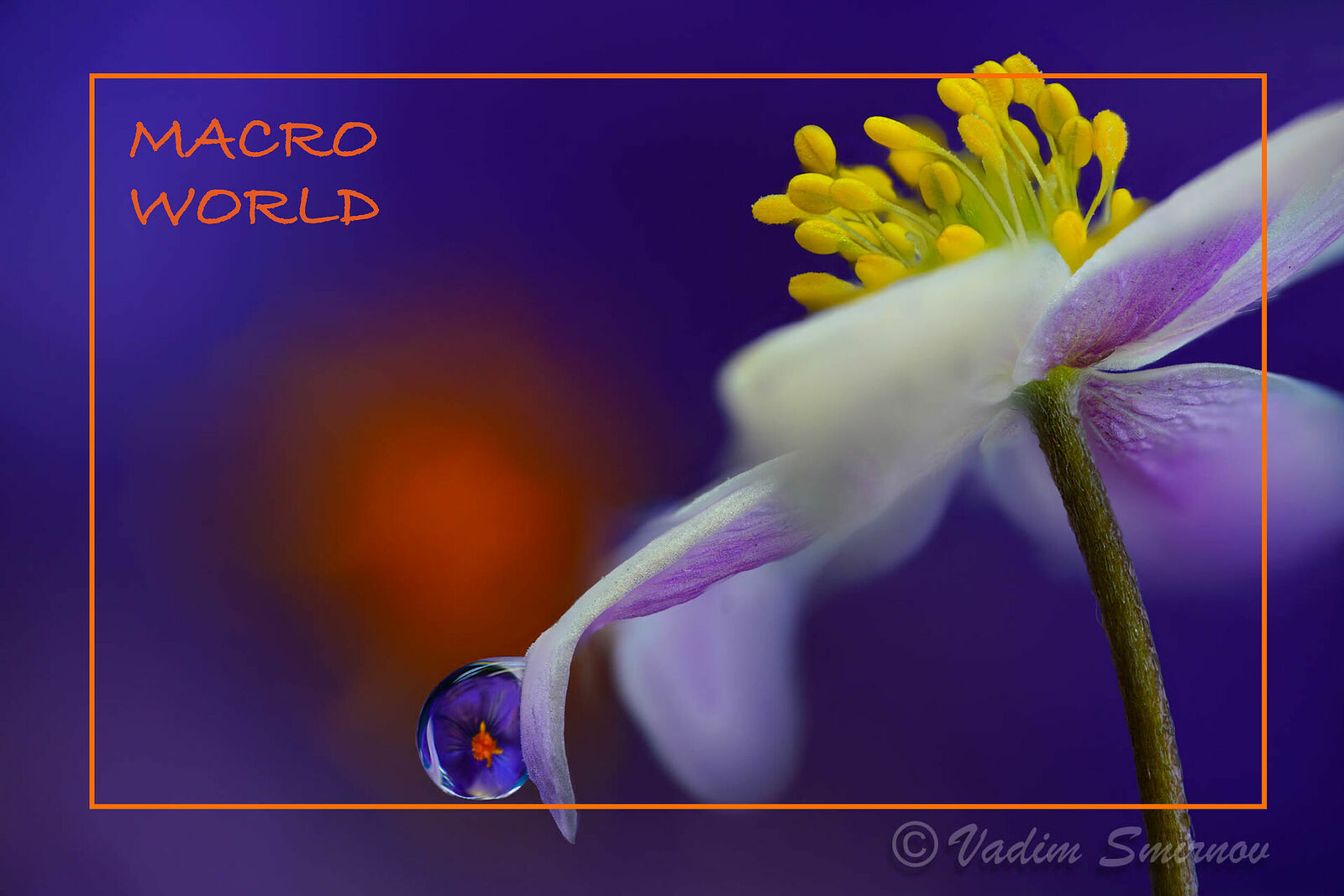 Vadim Smirnov. Untitled